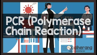 Pemeriksaan PCR (Polymerase Chain Reaction): Mekanisme dan Prinsip Dasar Pemeriksaan