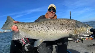 Casting for BIG BROWN TROUT in the Milwaukee Harbor! - What to Use