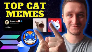 Top Cat Meme Coins on Solana & Base