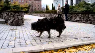 "Ночь в стиле СССР" видео от факультета экономики