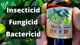 Natural insecticide for plants | BIO pesticide based on NEEM Oil | Insecticide for aphids