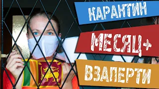 "Домашний Арест" Больше Месяца  или Почему Мы Остались на Шри-Ланке Во Время Карантина??? [+ENG SUB]