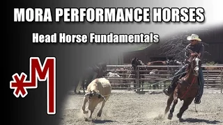 Cody Mora Head Horse Fundamentals