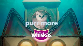 Curious kitten dives into delicious Whiskas® Junior.