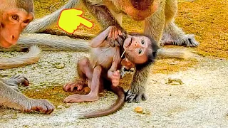 oh my god 😢 👉poor body tiny baby monkey really p😢ity