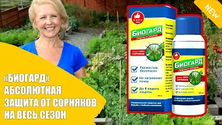 УНИЧТОЖЕНИЕ СОРНЯКОВ АММИАЧНОЙ СЕЛИТРОЙ 💡 ПРЕПАРАТЫ ОТ СОРНЯКОВ ЦВИНТАР