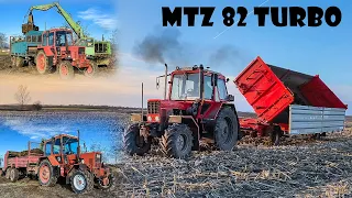 Trágyaszórás | MTZ 82 Turbo + 2x MTZ - T088+RA80 | Weimar | Spreading Manure 2020