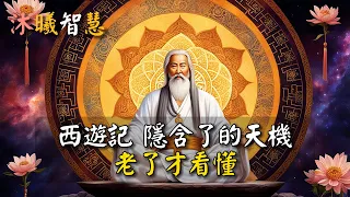 《西遊記》隱含了的天機，老了才看得懂 ！#沐曦智慧