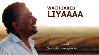 Cheb khaled ||  Wach jabek liya  - Lyrics