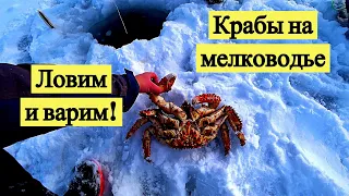 Крабы на мелководье. Ловим и варим! Подводная съёмка! И серебряная кнопка!