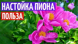 Бессонница, ВСД, аритмия, гипертония, мигрень... I Настойка пиона I Herbals-ua.com