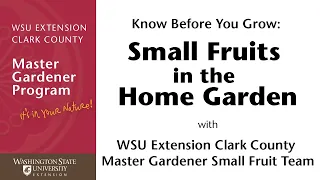 Know Before You Grow: Small Fruits in the Home Garden