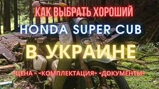 Что нужно учитывать покупая Honda Super Cub (Хонда Супер Каб) в Украине!