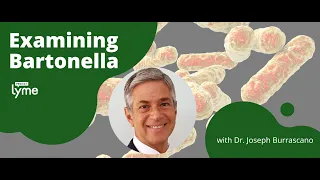 Examining Bartonella