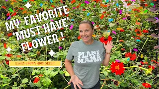 Why Mexican Sunflower (Tithonia) is My #1 MUST-GROW Seed! 🌻Discover Its Magic! | The Southern Daisy