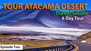 Join Us On A Tour Of The Atacama Desert And See The Amazing Laguna Chaxa, Piedras