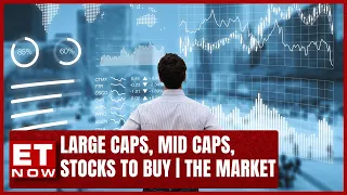 How Large Caps And Mid Caps, Nifty Are Performing In Stock Market ? | The Market | Business News