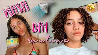 WASH DAY ROUTINE for 3b/3c hair