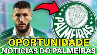 ZÉ ELIAS FICOU "REVOLTADO" COM TEXTOR E VALORIZOU O PALMEIRAS.