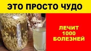 ОВЕС ЛЕЧИТ 1000 БОЛЕЗНЕЙ:  печень, желудок, почки, бронхит, чистит кровь, укрепляет иммунитет