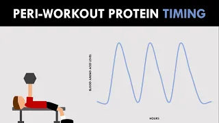 Peri-Workout Protein Timing | Nutrition for Body Composition