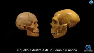 Le origini dell'umanità