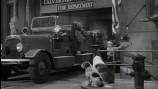 Lassie - Episode #301 - "The Howling Hero" - Season 9, Ep. 10 - 12/02/1962