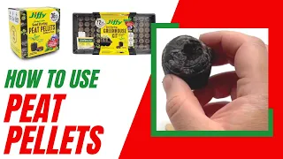 How to Use Jiffy Peat Pellets to Start Seeds