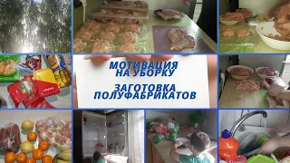 МОТИВАЦИЯ НА УБОРКУ. ЗАКУПКА ПРОДУКТОВ. ЗАГОТОВКА ПОЛУФАБРИКАТОВ. ЖИЗНЬ В ХРУЩЕВКЕ