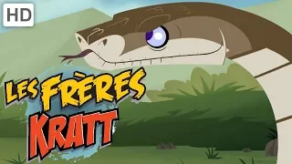 Les Frères Kratt 🐍 Des Créatures Sans Jambes! 🐛 | Vidéos pour Enfants