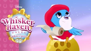 Winter in Whisker Haven | Whisker Haven Tales with the Palace Pets | Disney Junior