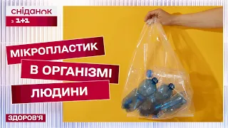 Як ПЛАСТИК впливає НА ЗДОРОВ’Я людини?