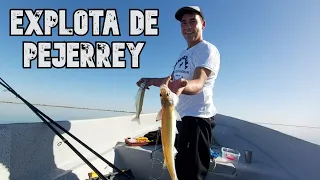 EXPLOTA DE PEJES - PESCA DE PEJERREY