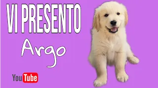 vi presento Argo