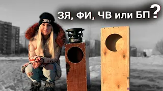 САБВУФЕР EDGE EDS8D2-E9/Как выбрать ОФОРМЛЕНИЕ? - #miss_spl