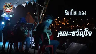 คณะขวัญใจ ฉันเป็นแมลง