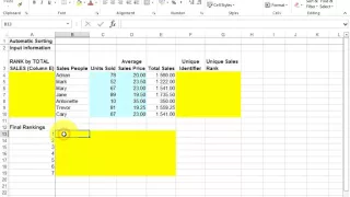 Automatic Sorting in Excel using VLOOKUP exercise- Solution link below