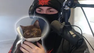 SwaggerSouls Gave His Cat a Sex Change