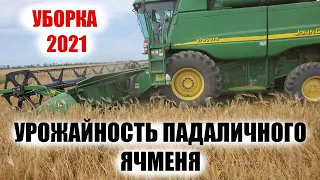 Очень странное начало. Уборка 2021. Комбайн Джон Дир молотит озимый ячмень - падалица. Урожайность?