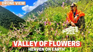 VALLEY OF FLOWERS Trek || Cinematic Travel Video | Uttarakhand | Desi Banjara