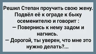 Степан Подвел Свою Жену к Быку! Сборник Свежих Анекдотов! Юмор!