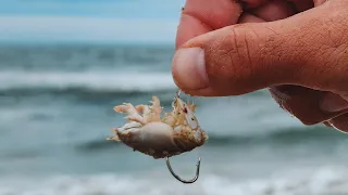 Encontrar ISSO na PESCA DE PRAIA salvou o nosso dia!