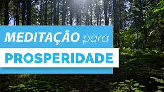 🍀 MEDITAÇÃO Guiada - Atrair Prosperidade