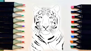 Как нарисовать тигра