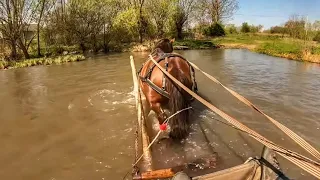 🆕ПЕРЕГОНИМО ЛОШАТА НА ПАСОВИЩА 🐎/🌱ПОСІЯЛИ 80 СОТОК ЛЮЦЕРНИ🍀/ДЖОКЕР БОРОНУЄ💪, МАРІЧКА КАТКУЄ🔥.