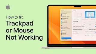 How To Fix Mouse or Trackpad Not Working on Mac OS