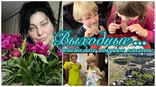 Выходные… 🌺Дела на даче🪴. Покупки. И печенье🍪