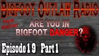 Bigfoot Outlaw Radio Ep19 Are You In Bigfoot Danger?
