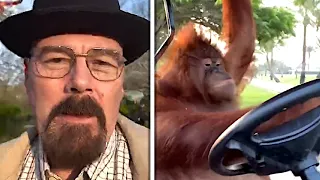 walter white vs monke