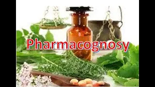 Секция 5 Фармакогностические исследования и стандартизация лекарственного растительного сырья и сырь